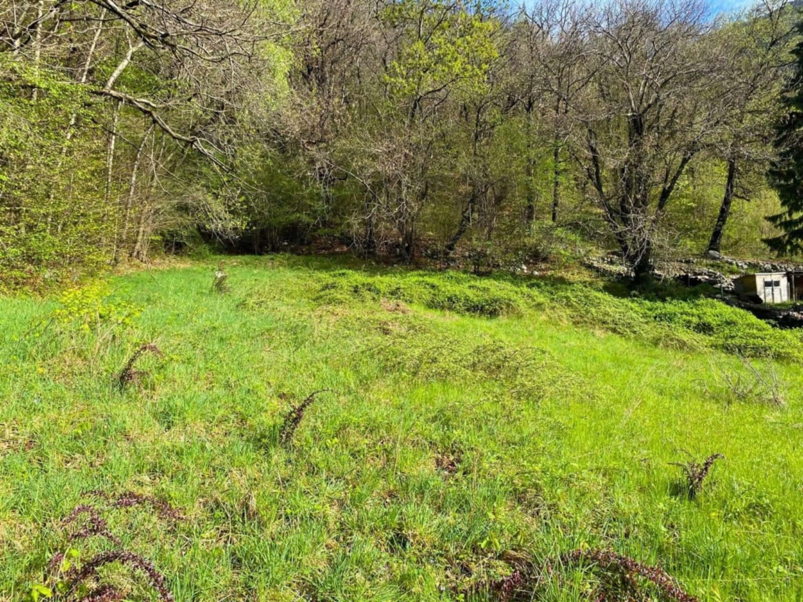 Terreno edificabile a giornico
