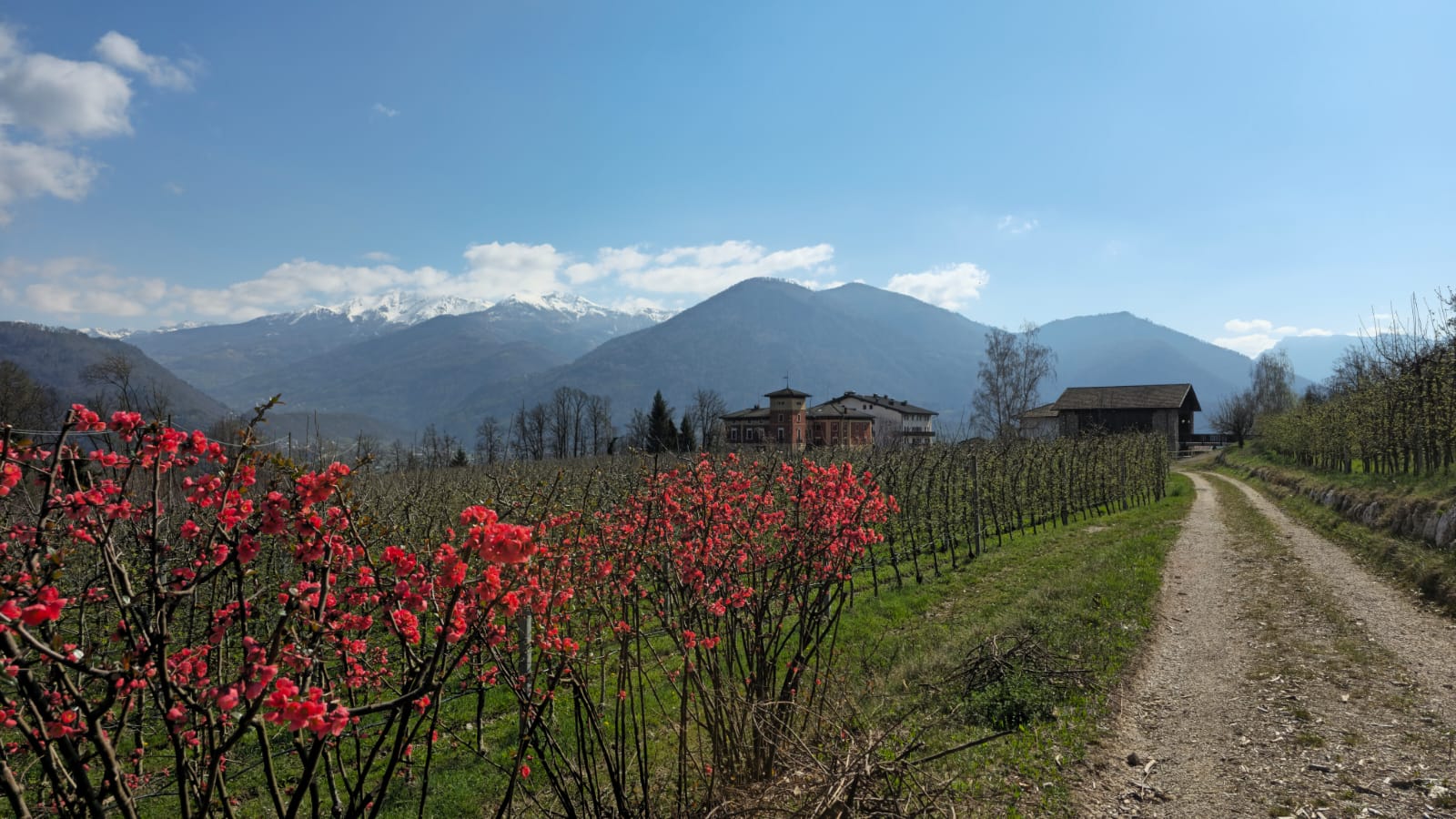 Albergo a Pergine Valsugana