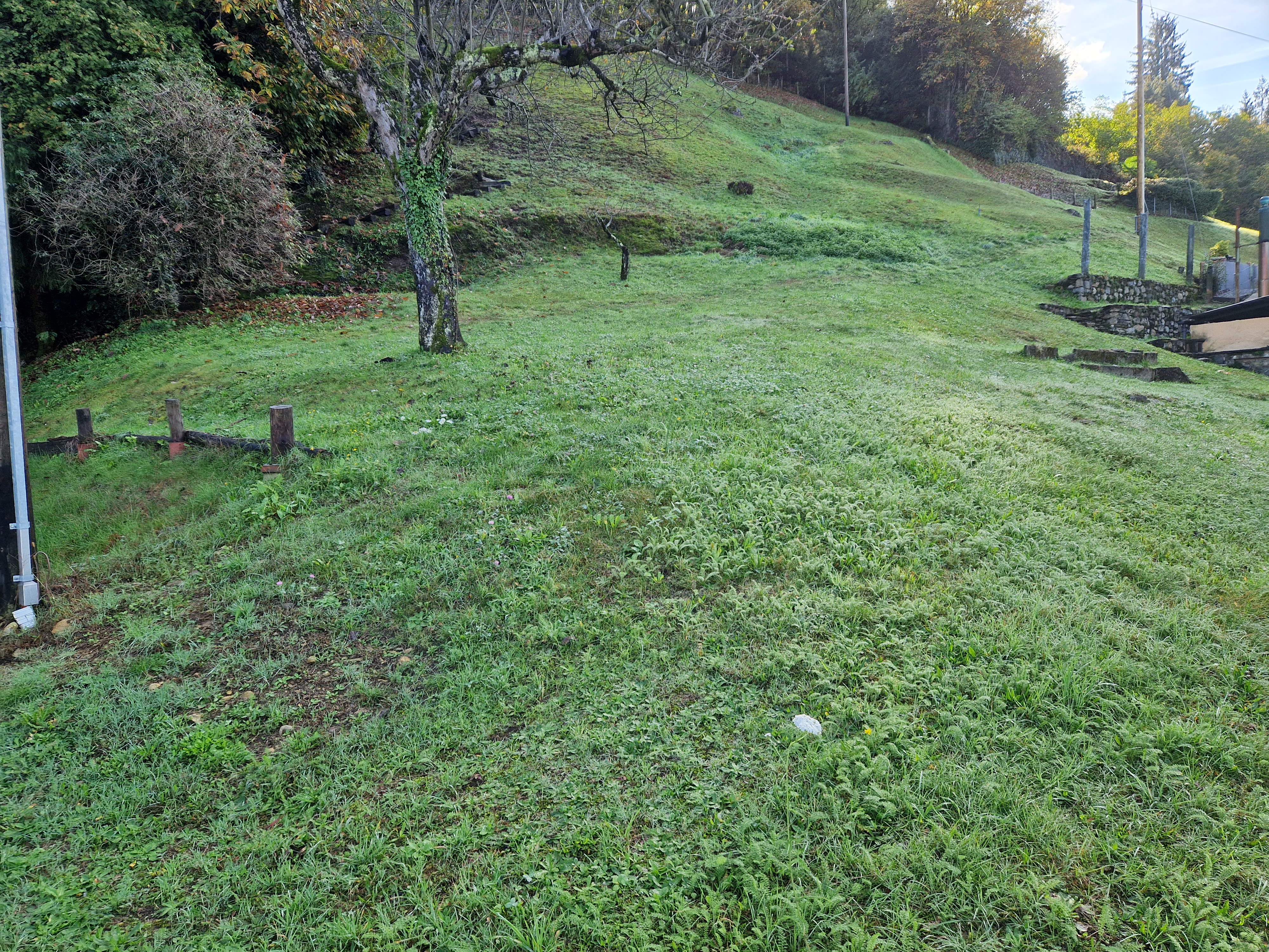 Terreno edificabile a Piazzogna