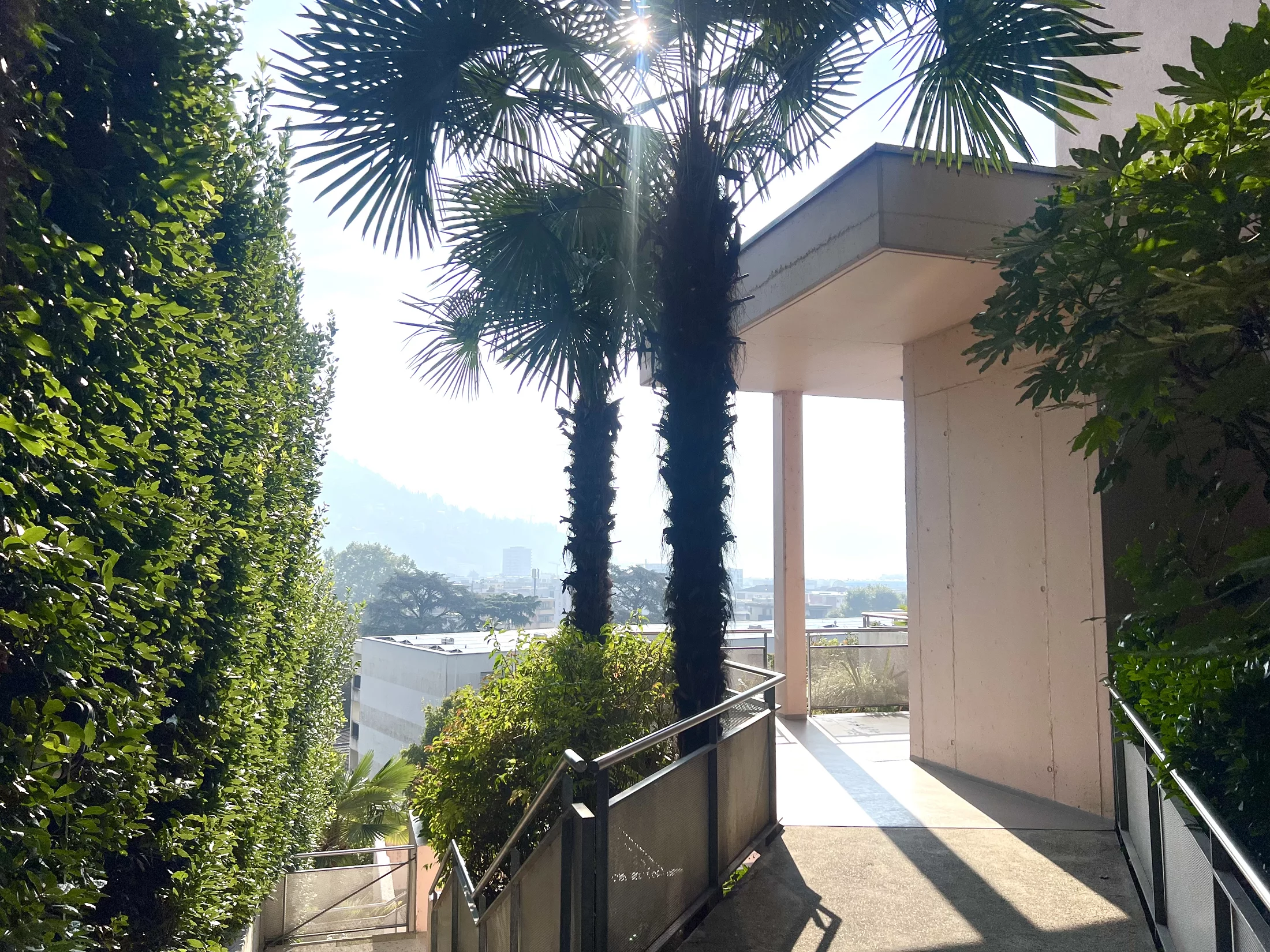 Location