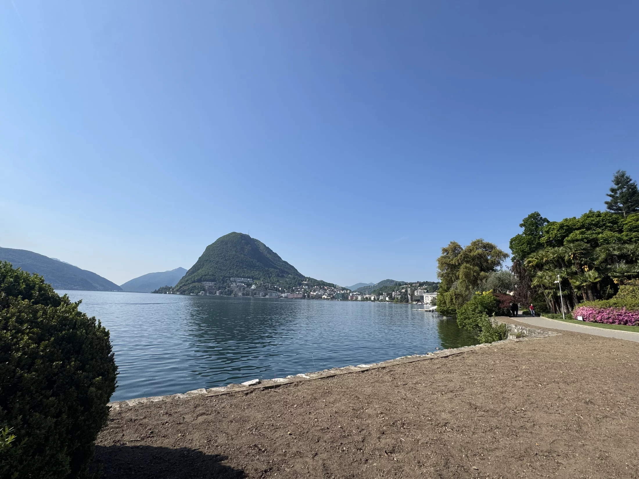 Commercio / negozio a Lugano