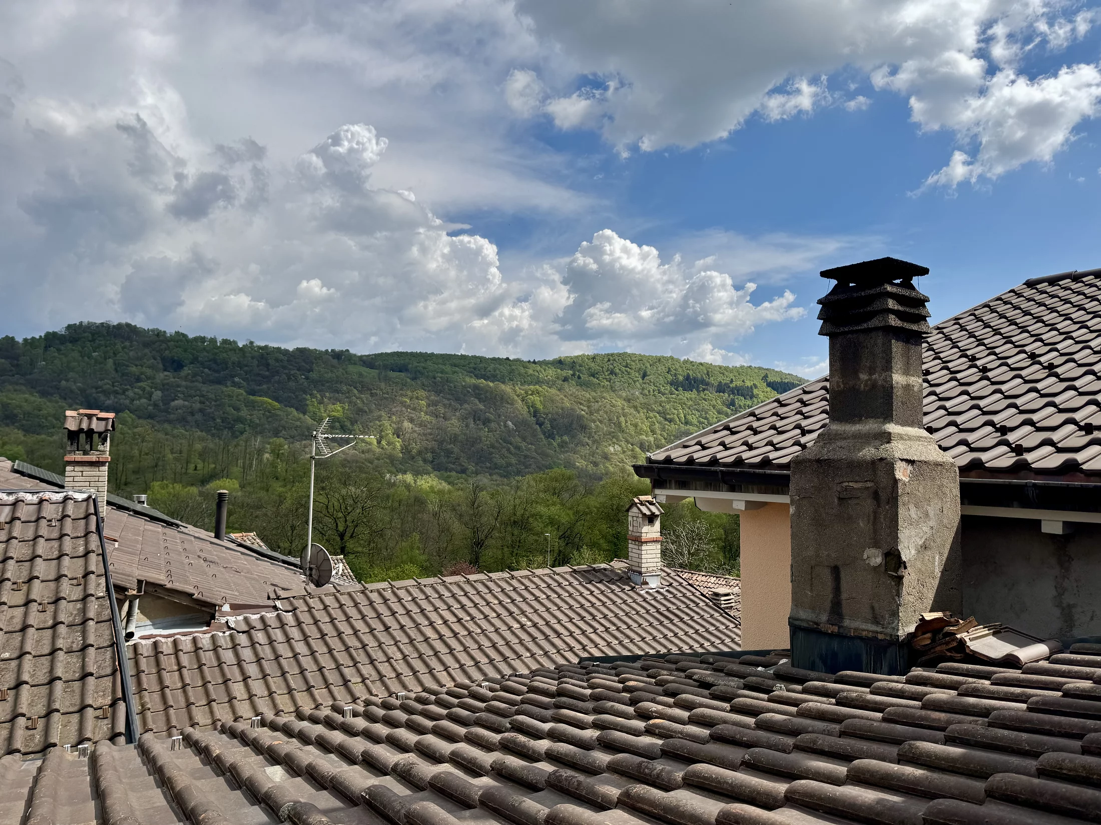 Vista