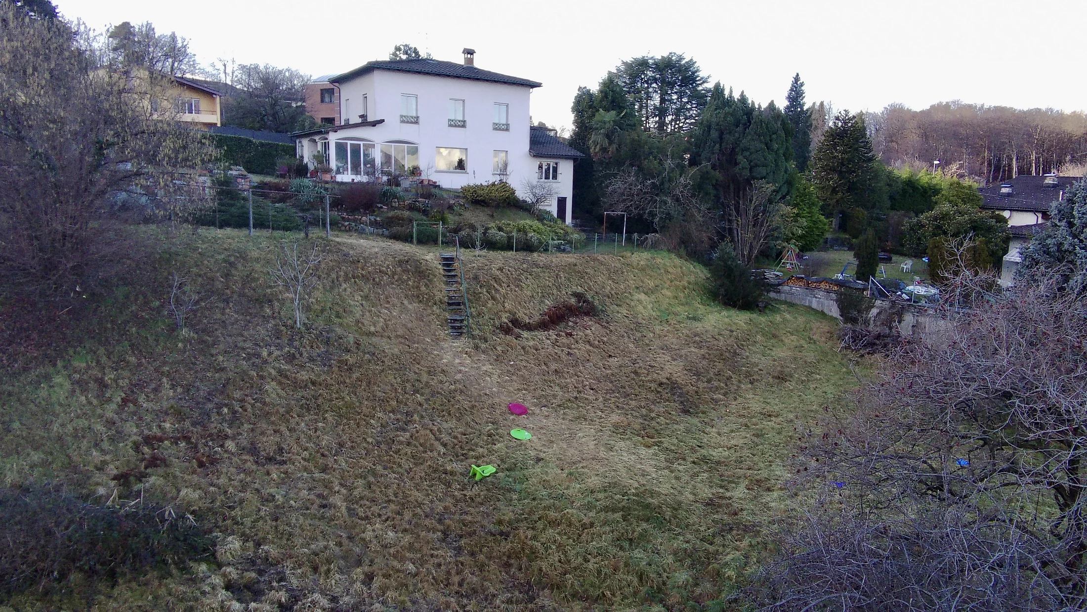 Vista